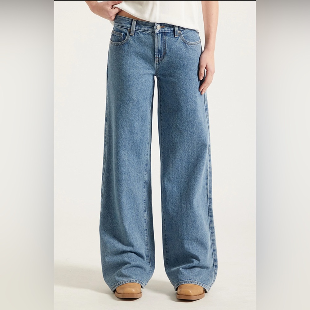 Pacsun Low Rise Baggy Jeans